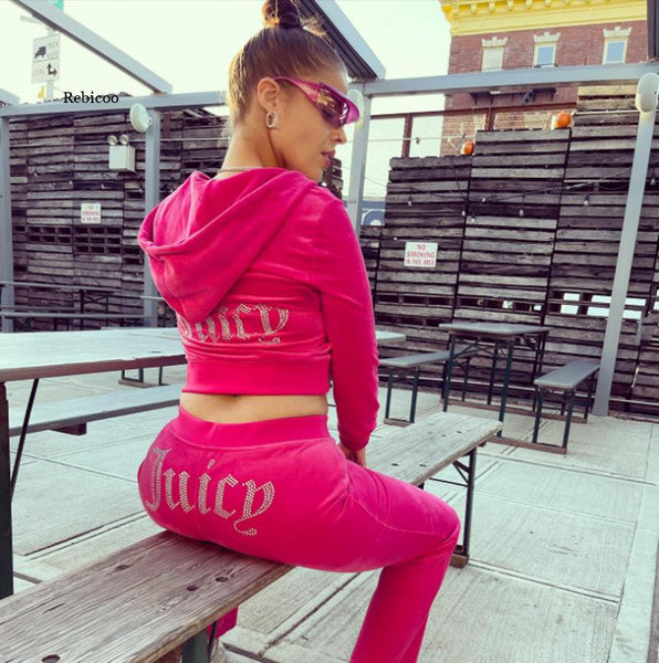 Two Piece Set Crop Top Hoodie Suit