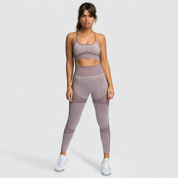 2 Piece High Waist Leggings & Bra Yoga Set