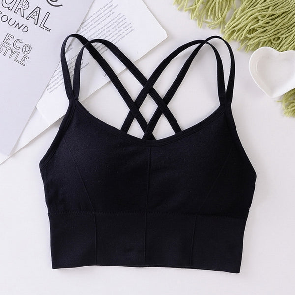 Anti-sweat Shockproof Padded Sports Bra