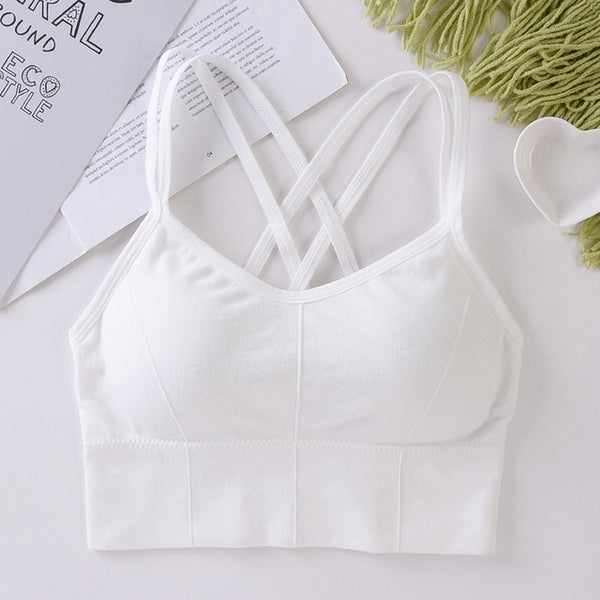 Anti-sweat Shockproof Padded Sports Bra